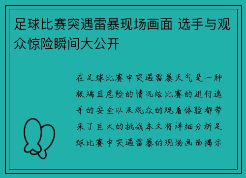 足球比赛突遇雷暴现场画面 选手与观众惊险瞬间大公开