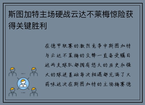 斯图加特主场硬战云达不莱梅惊险获得关键胜利